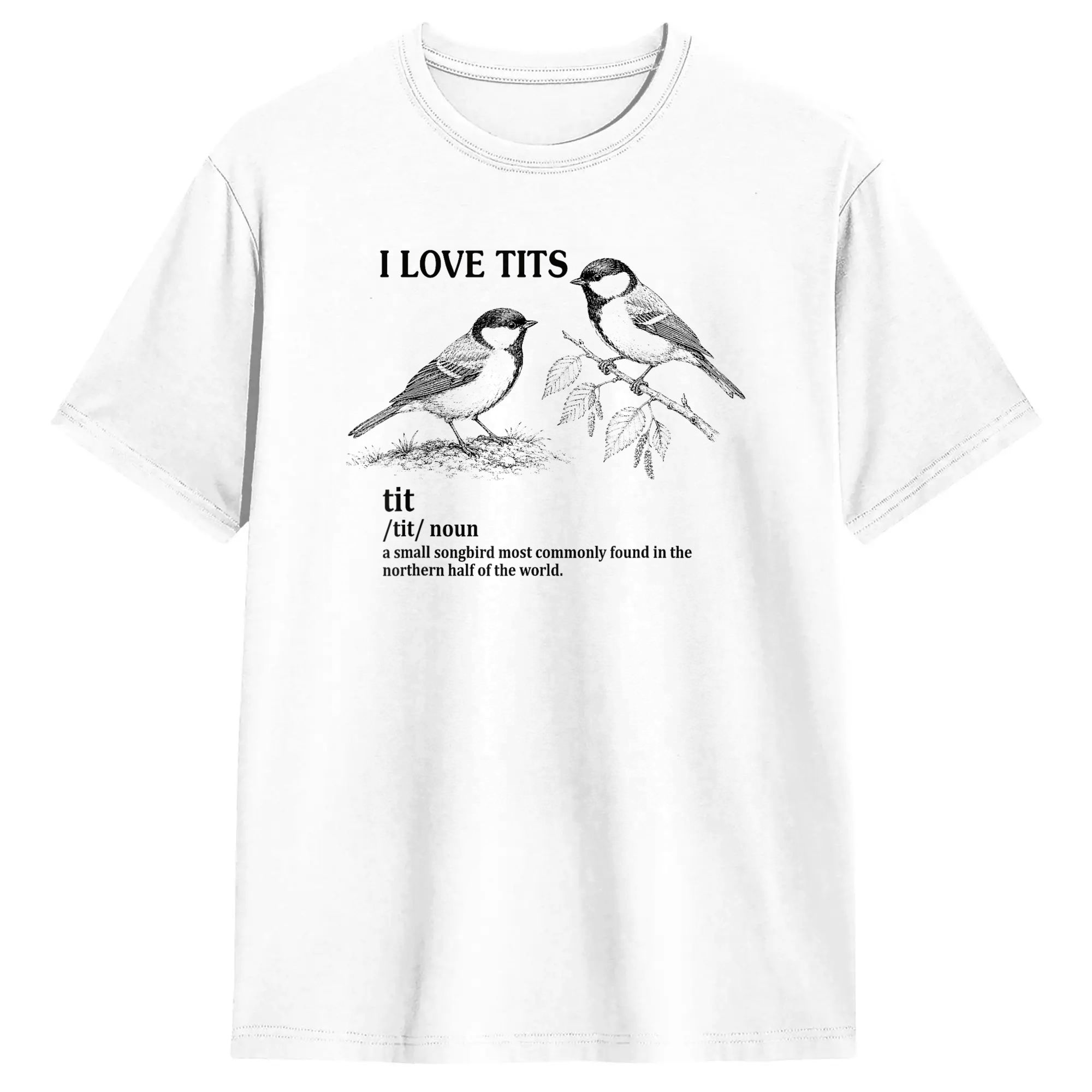 Футболка I Love Tits WLW Ally  – обзор и цена Vintage Queer Fashion